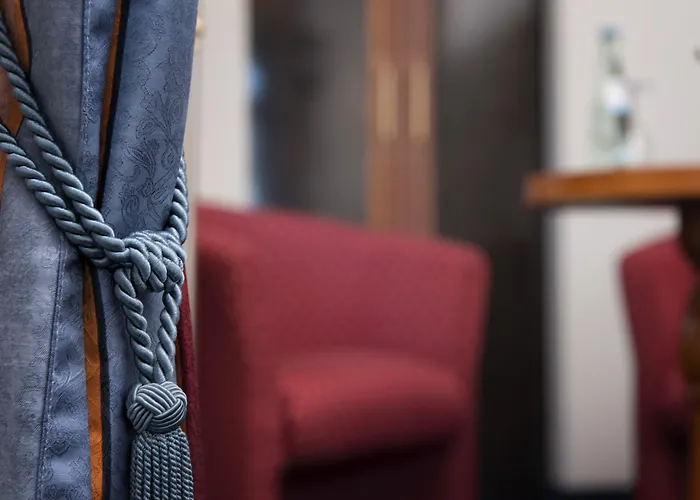 酒店 哈雷-梅森堡丽笙酒店